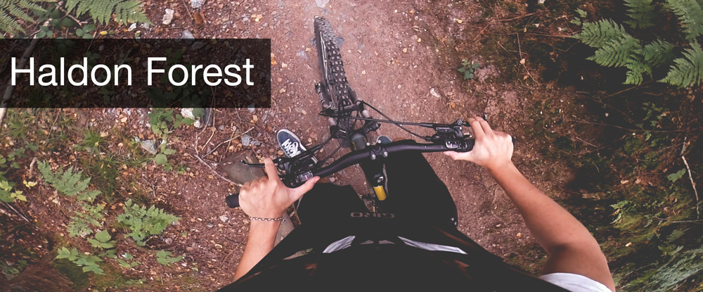 Mountain biking in Devon s Haldon Forest