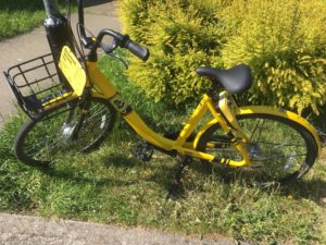 Ofo bicycles cheap